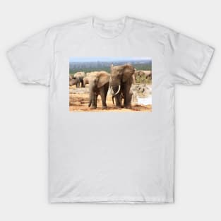 African Wildlife Photography Elephant Siblings T-Shirt